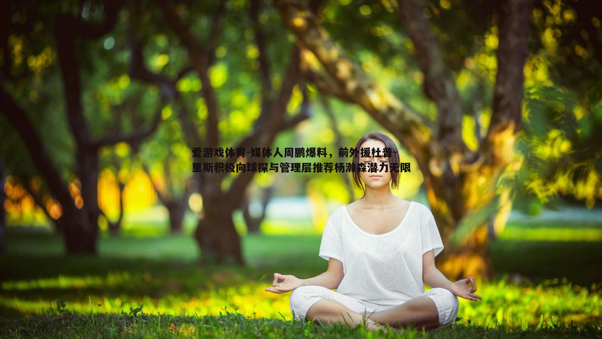 爱游戏体育-媒体人周鹏爆料，前外援杜普-里斯积极向球探与管理层推荐杨瀚森潜力无限