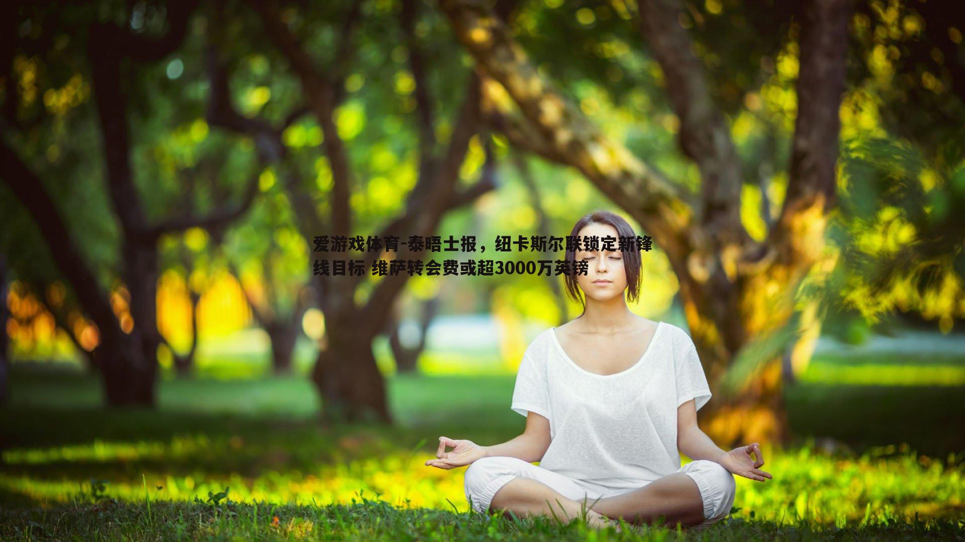 泰晤士报，纽卡斯尔联锁定新锋线目标 维萨转会费或超3000万英镑